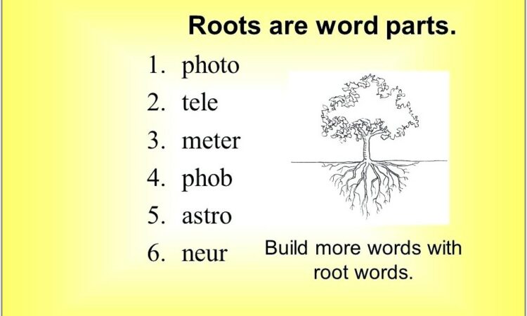 Root Word Worksheet High School