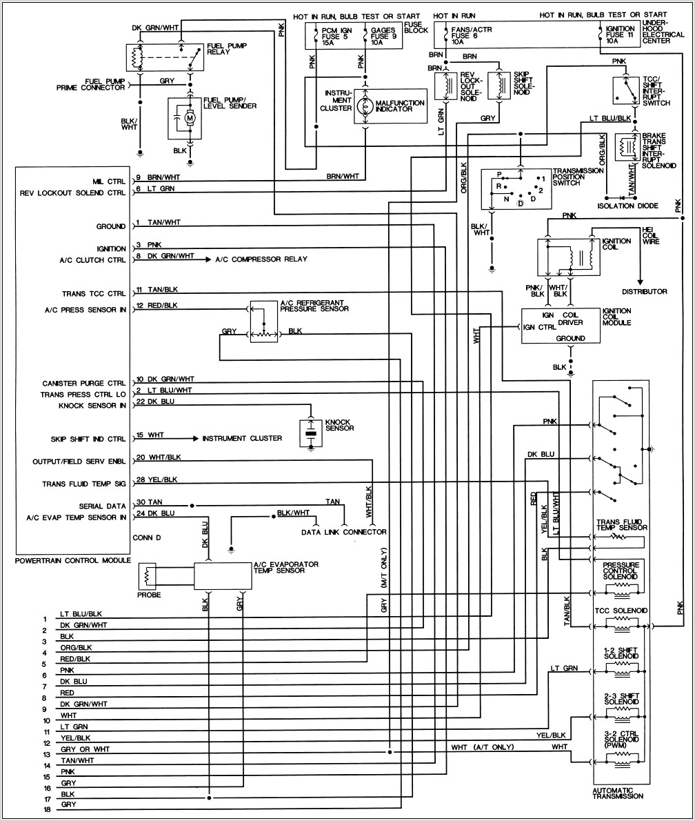 S10 Wiring Diagram Pdf