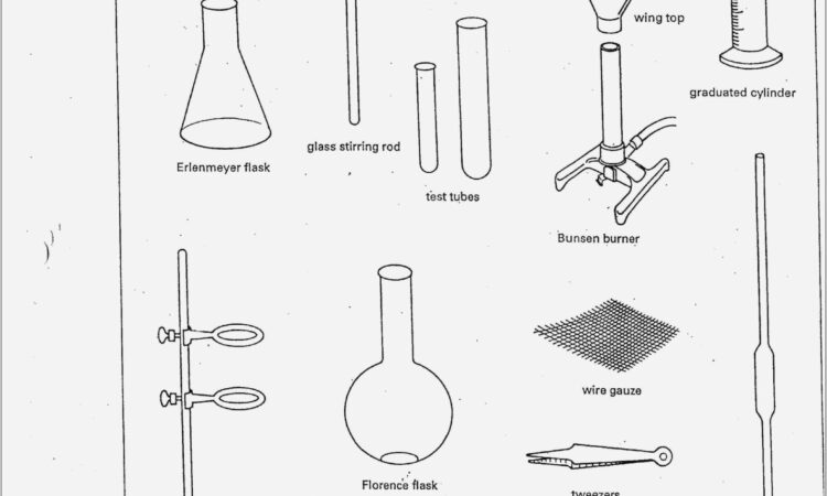 Science Equipment Worksheet Answers