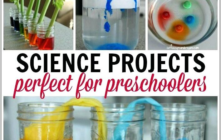 Science Experiment Worksheet For Kindergarten