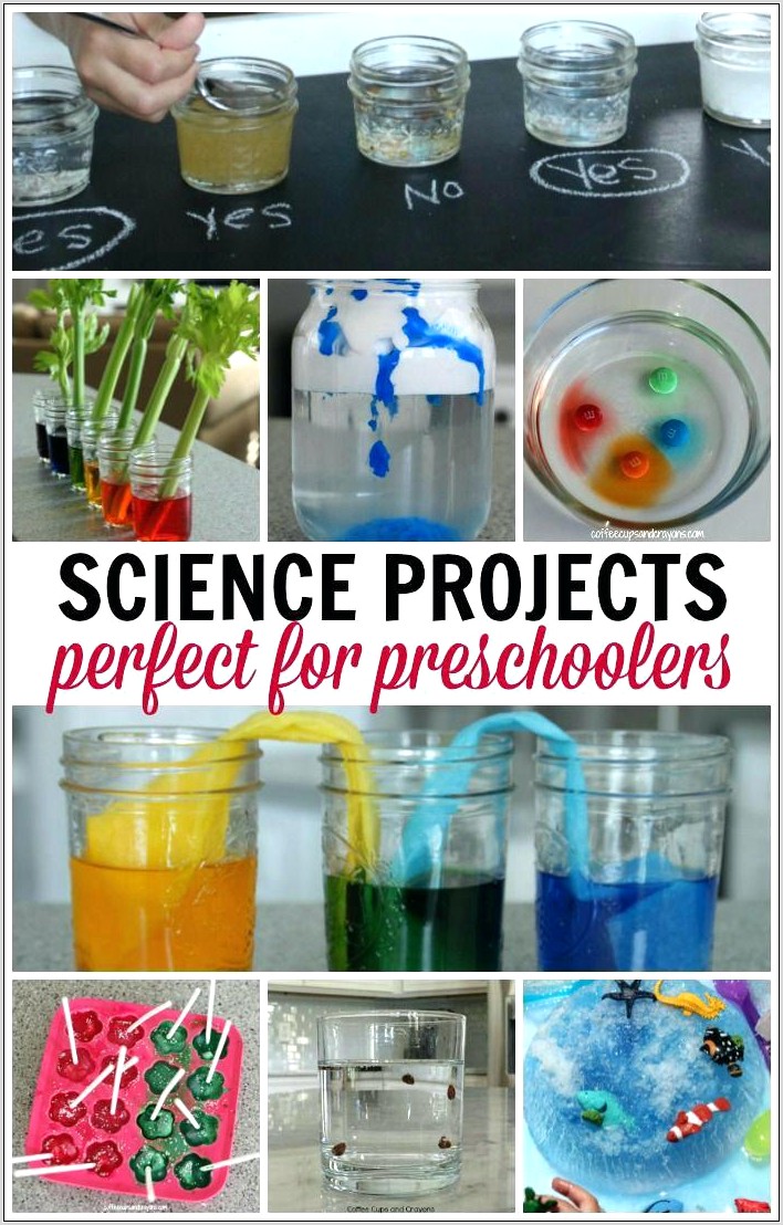 Science Experiment Worksheet For Kindergarten