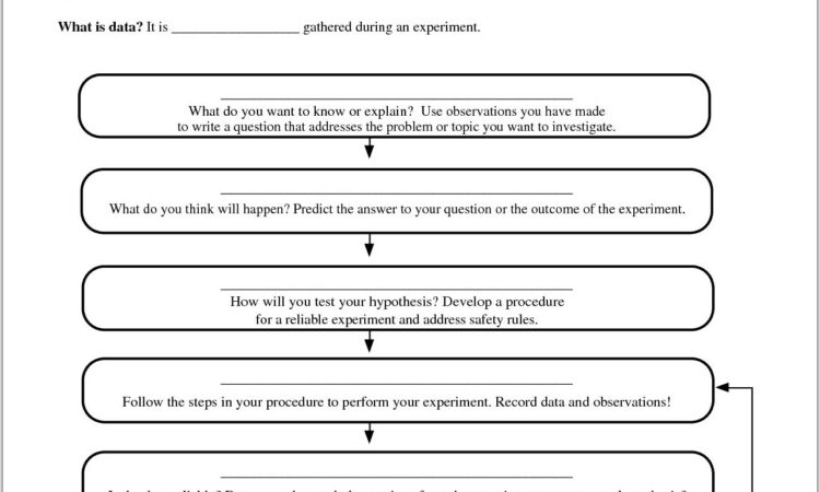 Science Lab Worksheet Middle School