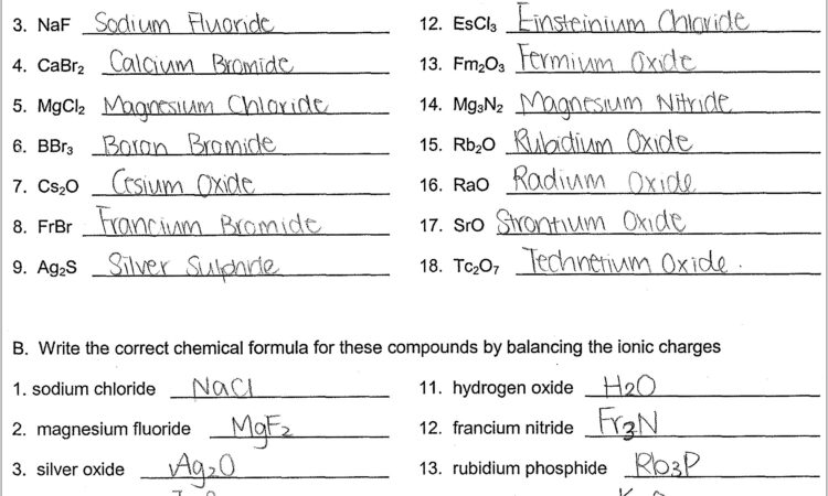 Science News Worksheet Answers