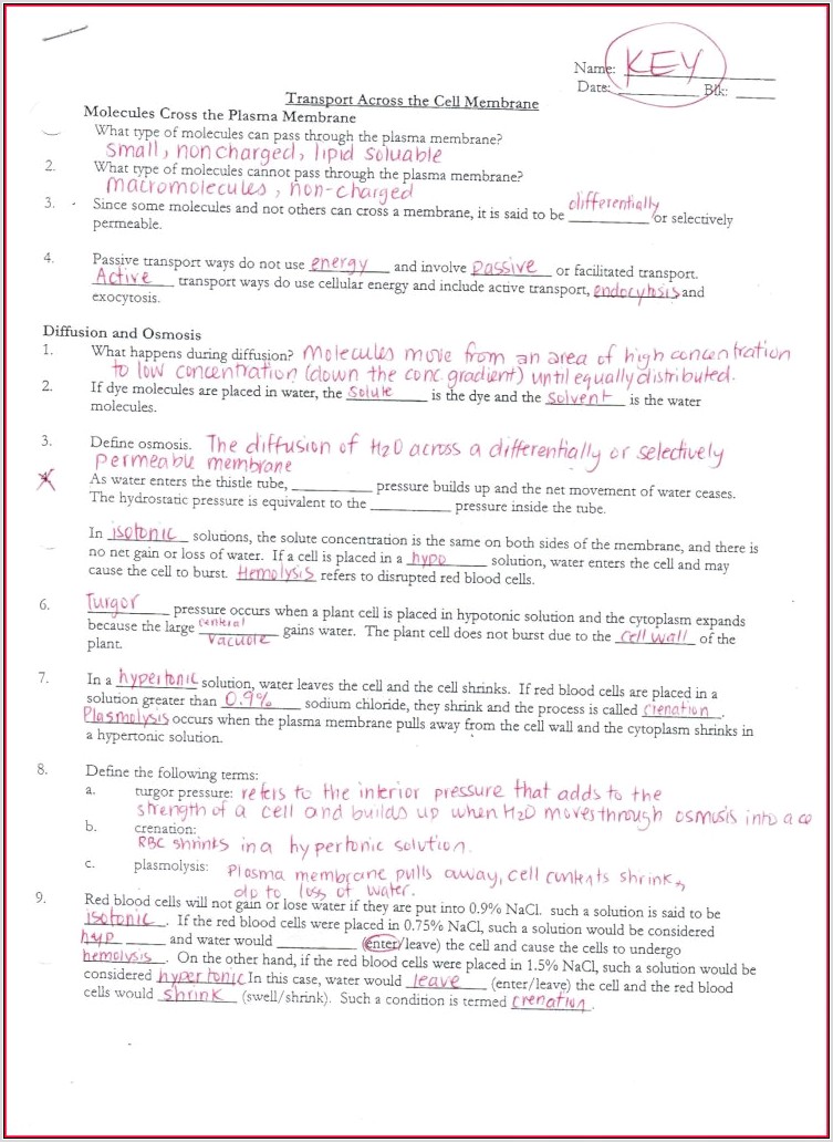 Science Quest 7 Worksheet Answers