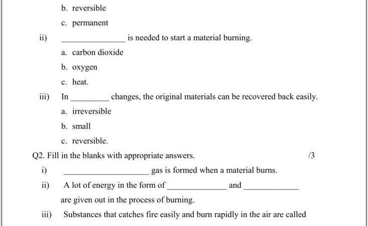 Science Revision Worksheet Year 7