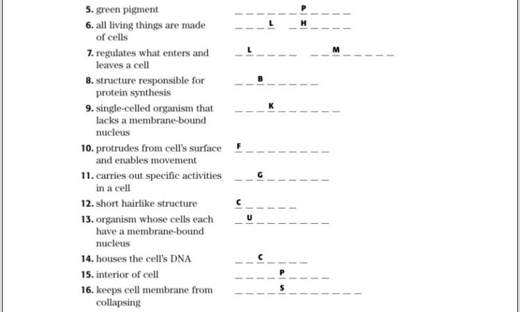 Science Skills Worksheet Dna Structure