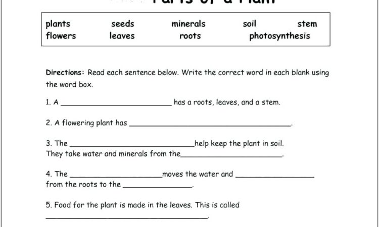 Science Tools Worksheet 3rd Grade