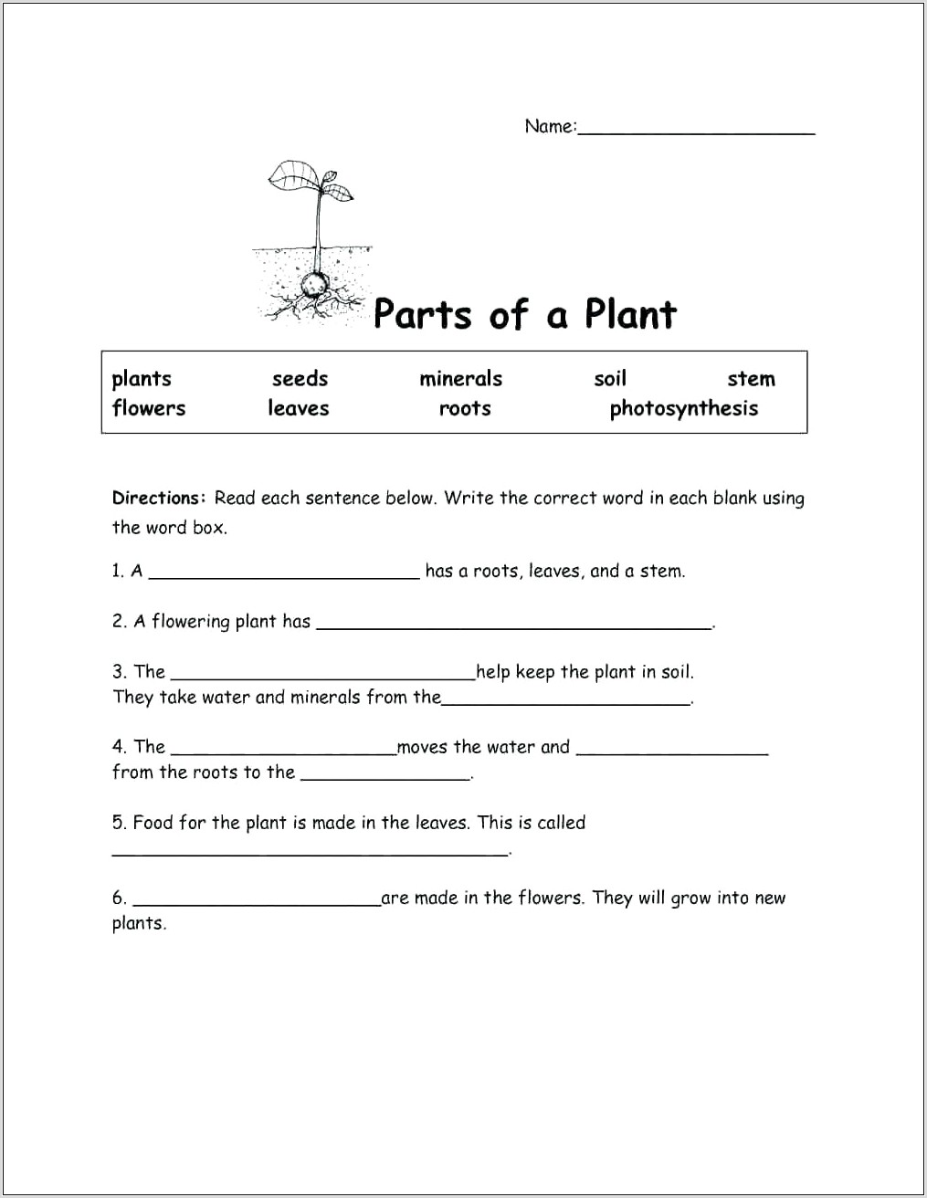 Science Tools Worksheet 3rd Grade
