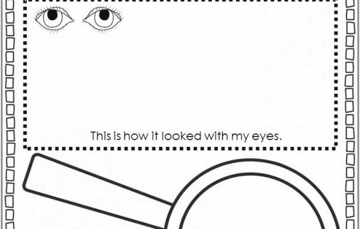 Science Tools Worksheet Kindergarten