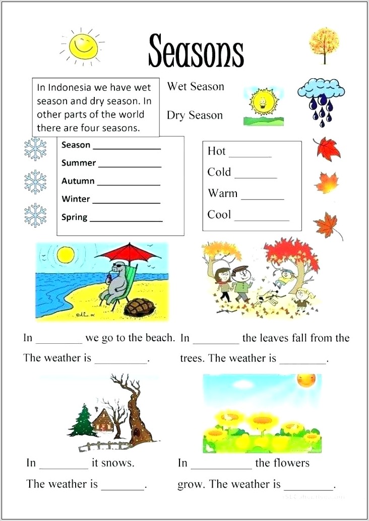 Science Tools Worksheet Second Grade