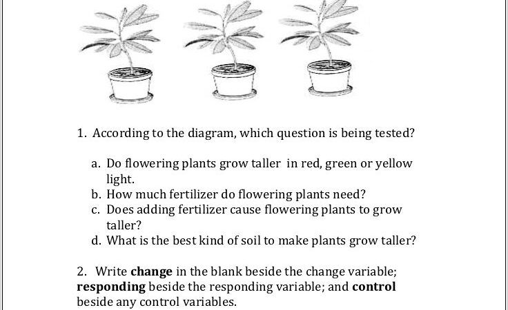 Science Variables Worksheet 5th Grade