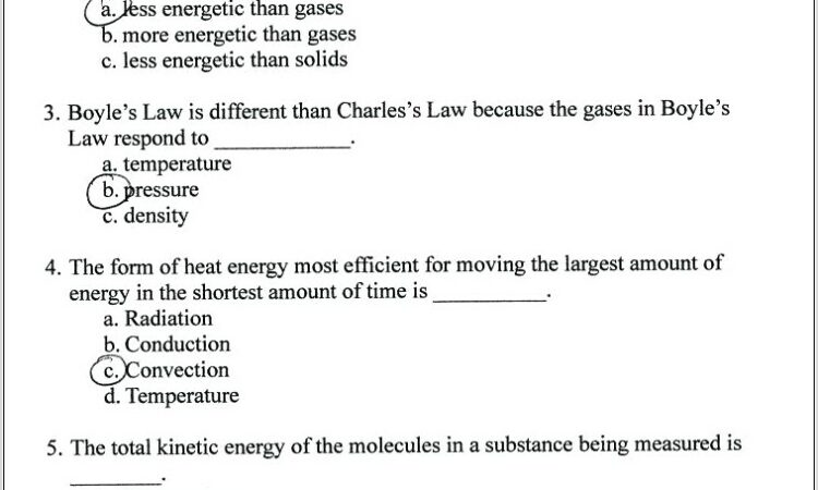 Science Vocabulary Worksheet Pdf