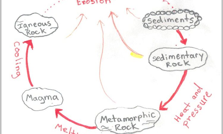 Science Worksheet 4th Grade