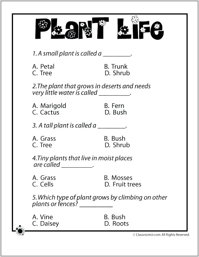 Science Worksheet About Light