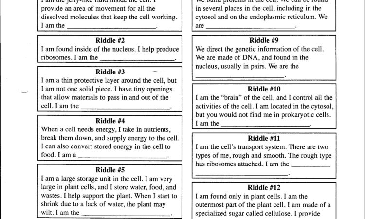 Science Worksheet And Answers