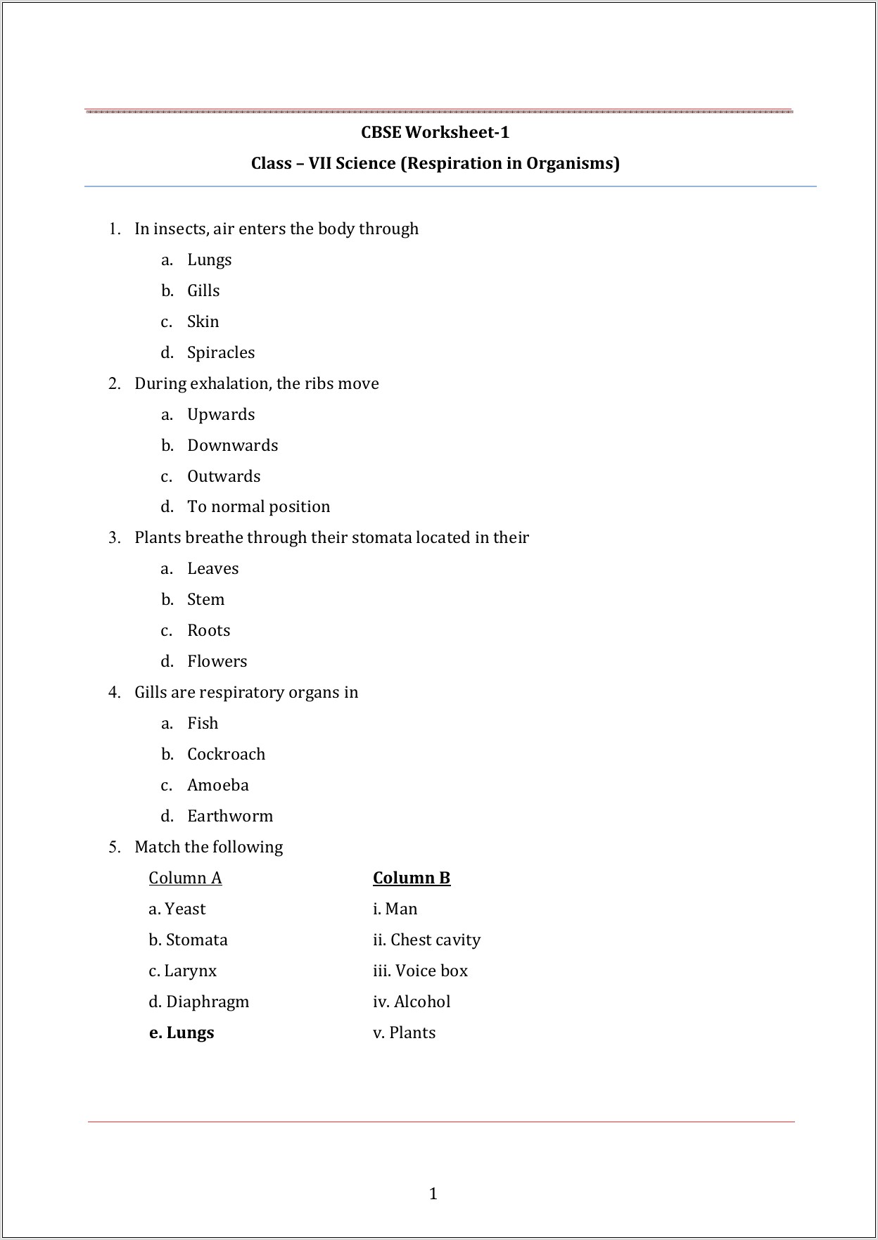 Science Worksheet Class 1