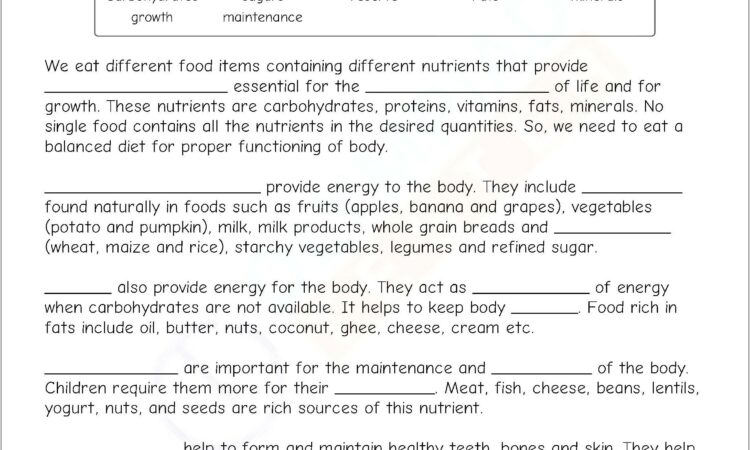 Science Worksheet Class 4