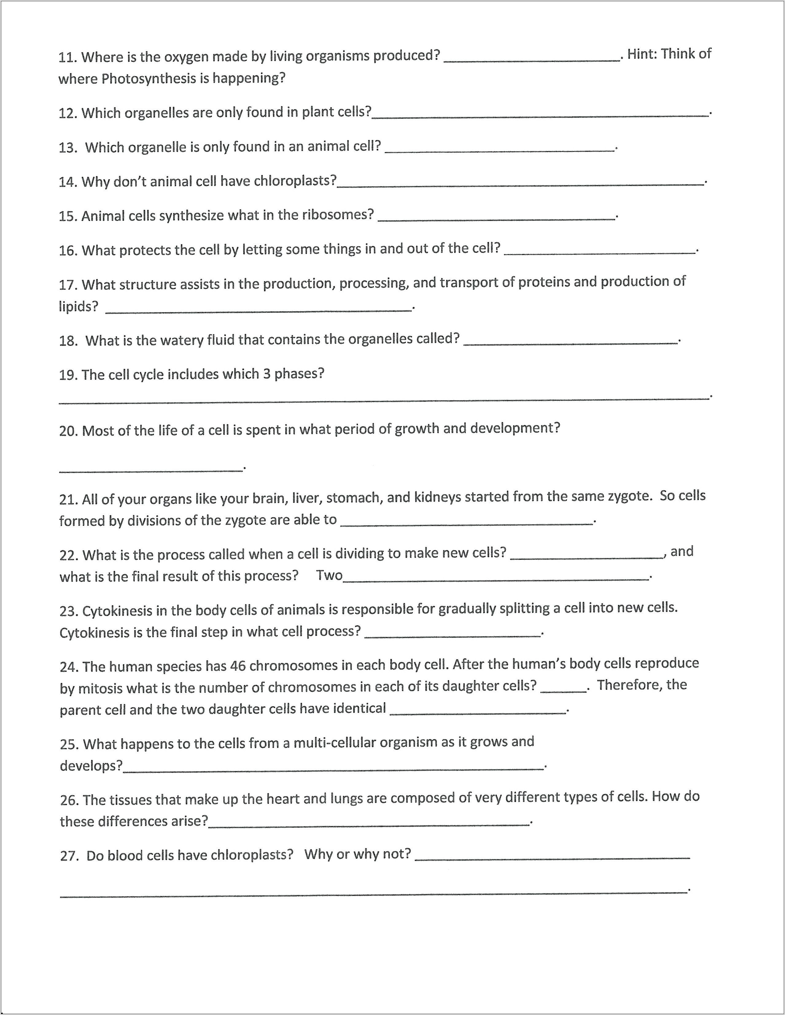 Science Worksheet Class 5