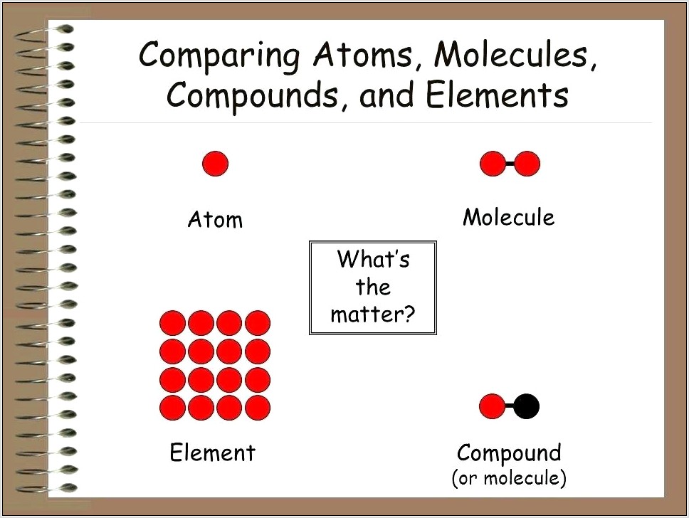 Science Worksheet Class Ix