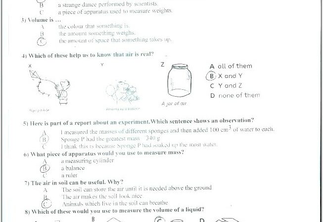 Science Worksheet For 5 Year Old