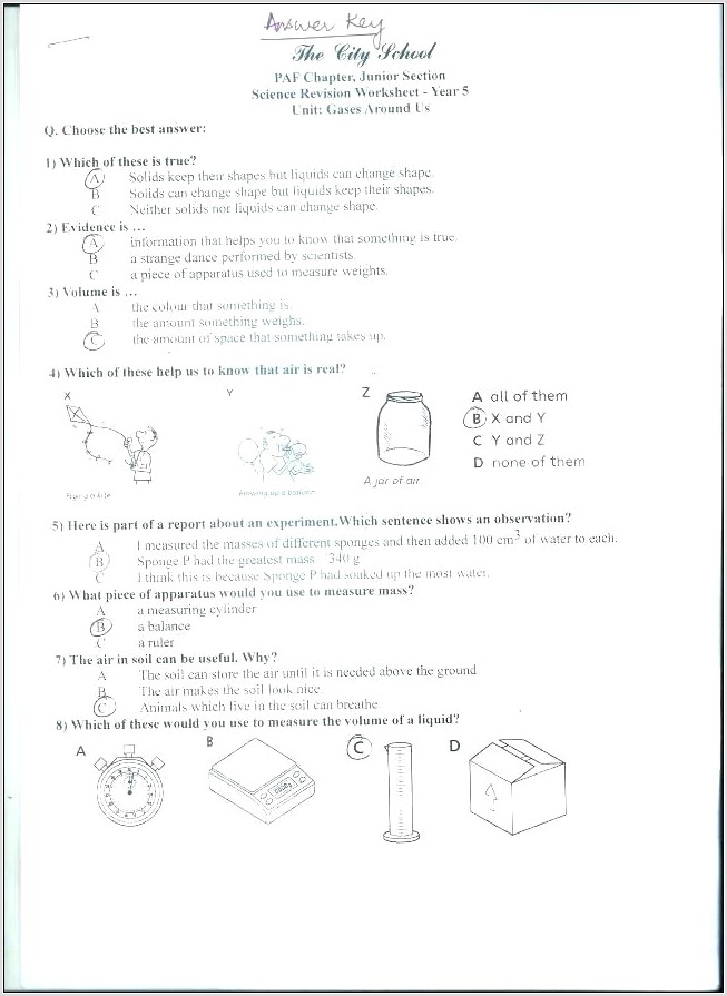 Science Worksheet For 5 Year Old