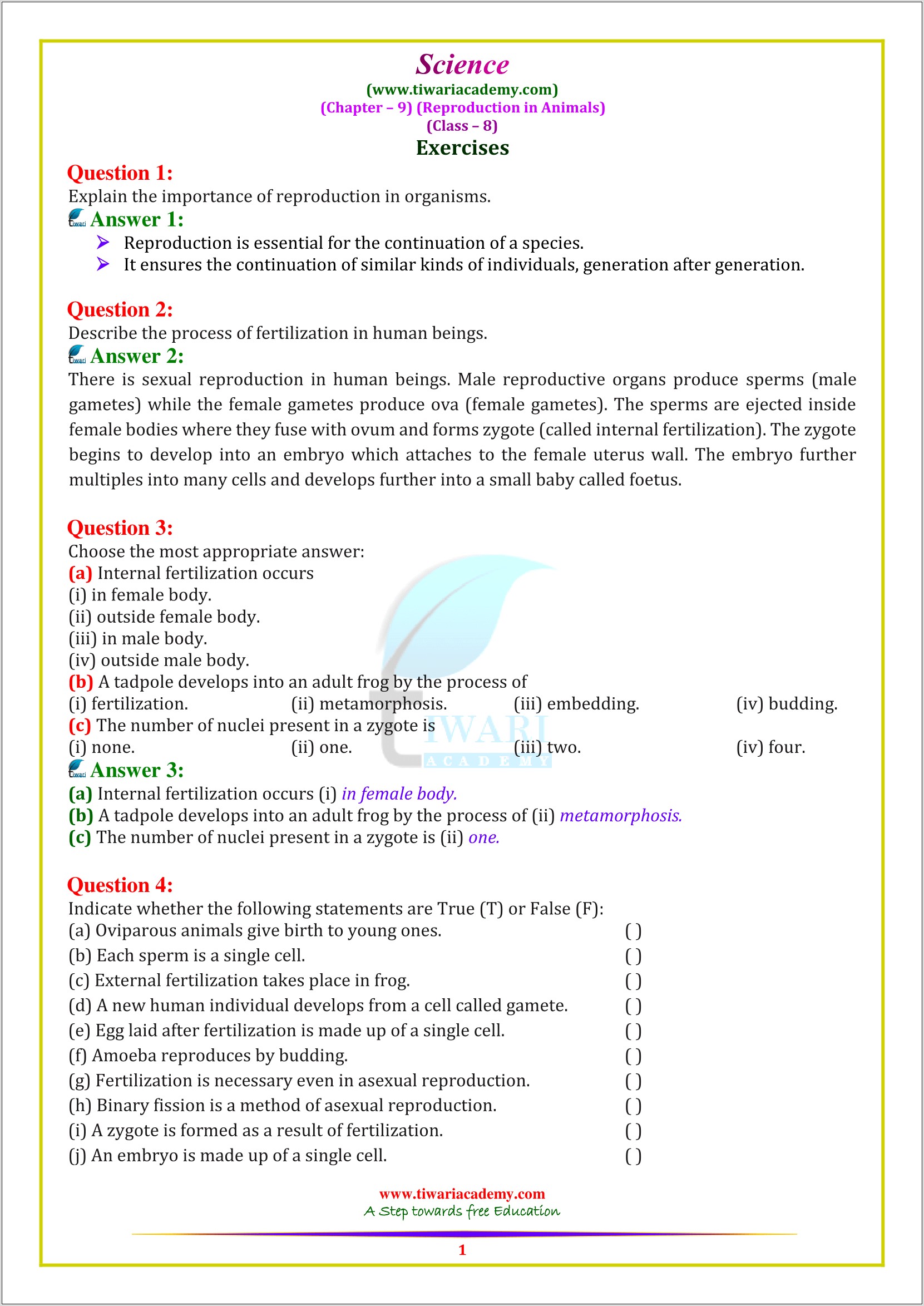 Science Worksheet For Class 8 Ncert Based