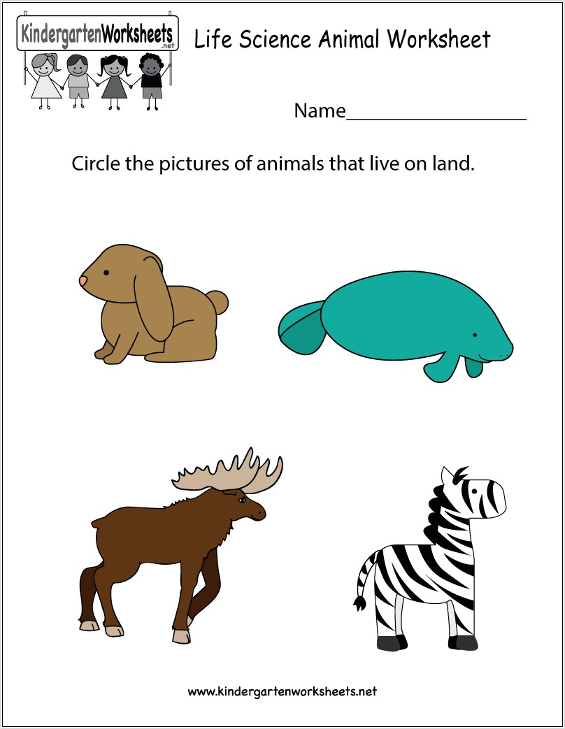 Science Worksheet For Kindergarten