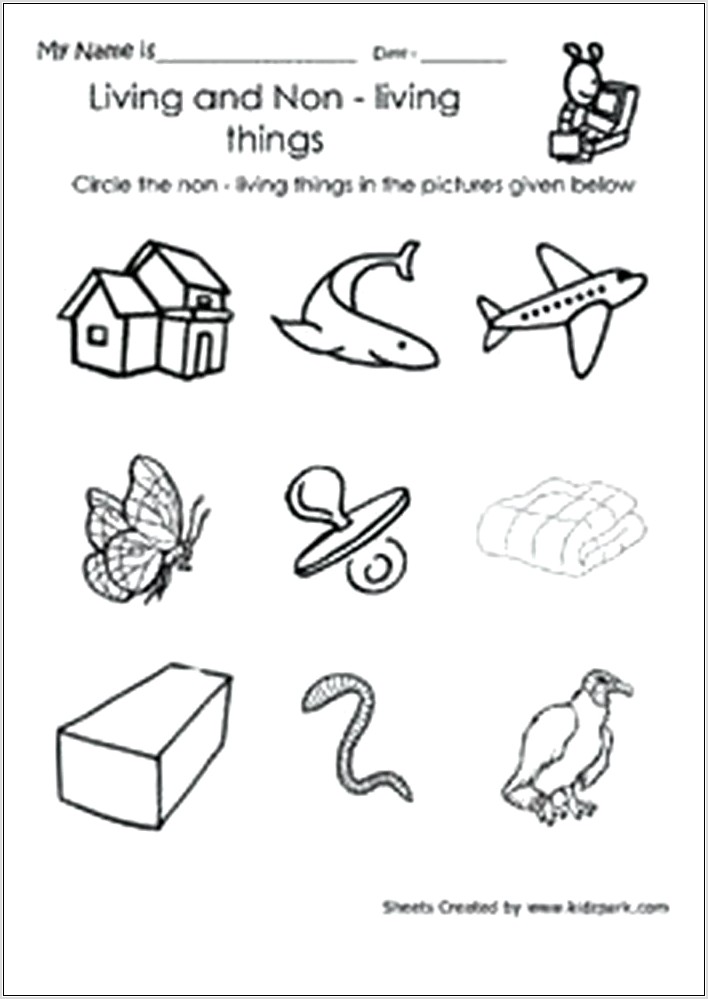 Science Worksheet On Living And Nonliving Things