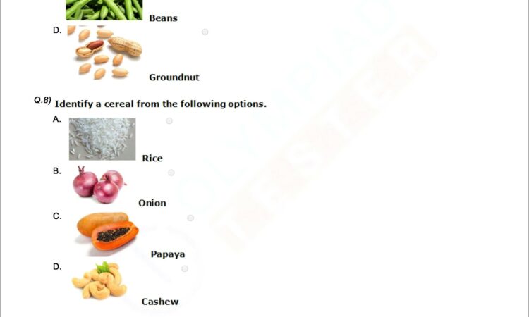 Science Worksheet On Materials