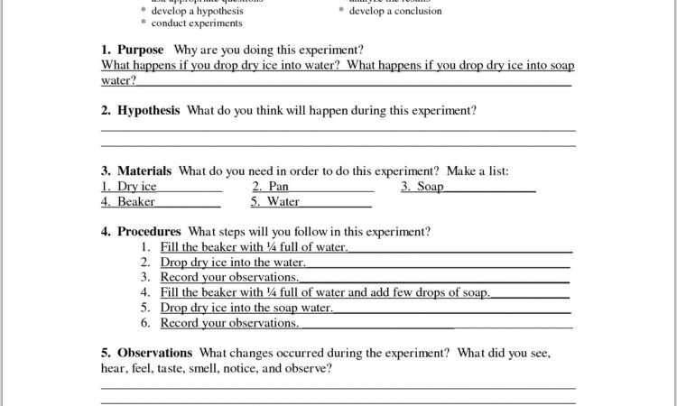 Scientific Method And Experimental Design Worksheet