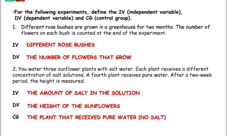 Scientific Method Identifying Variables Worksheet Answers