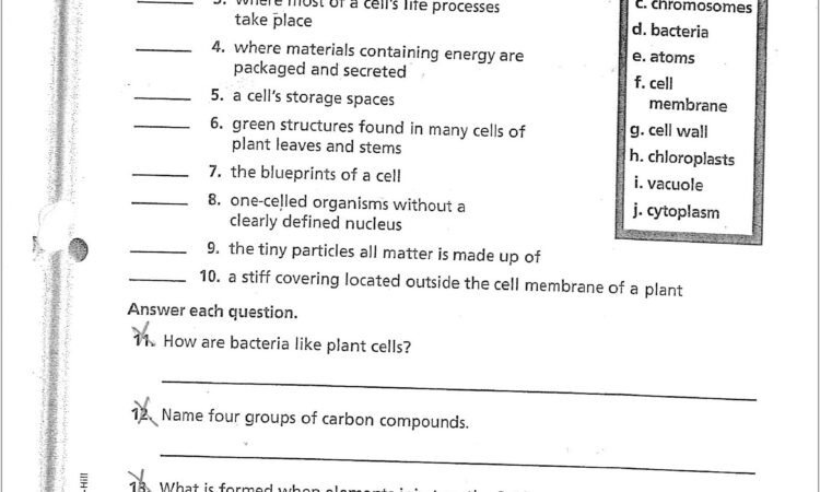 Scientific Method Matching Worksheet