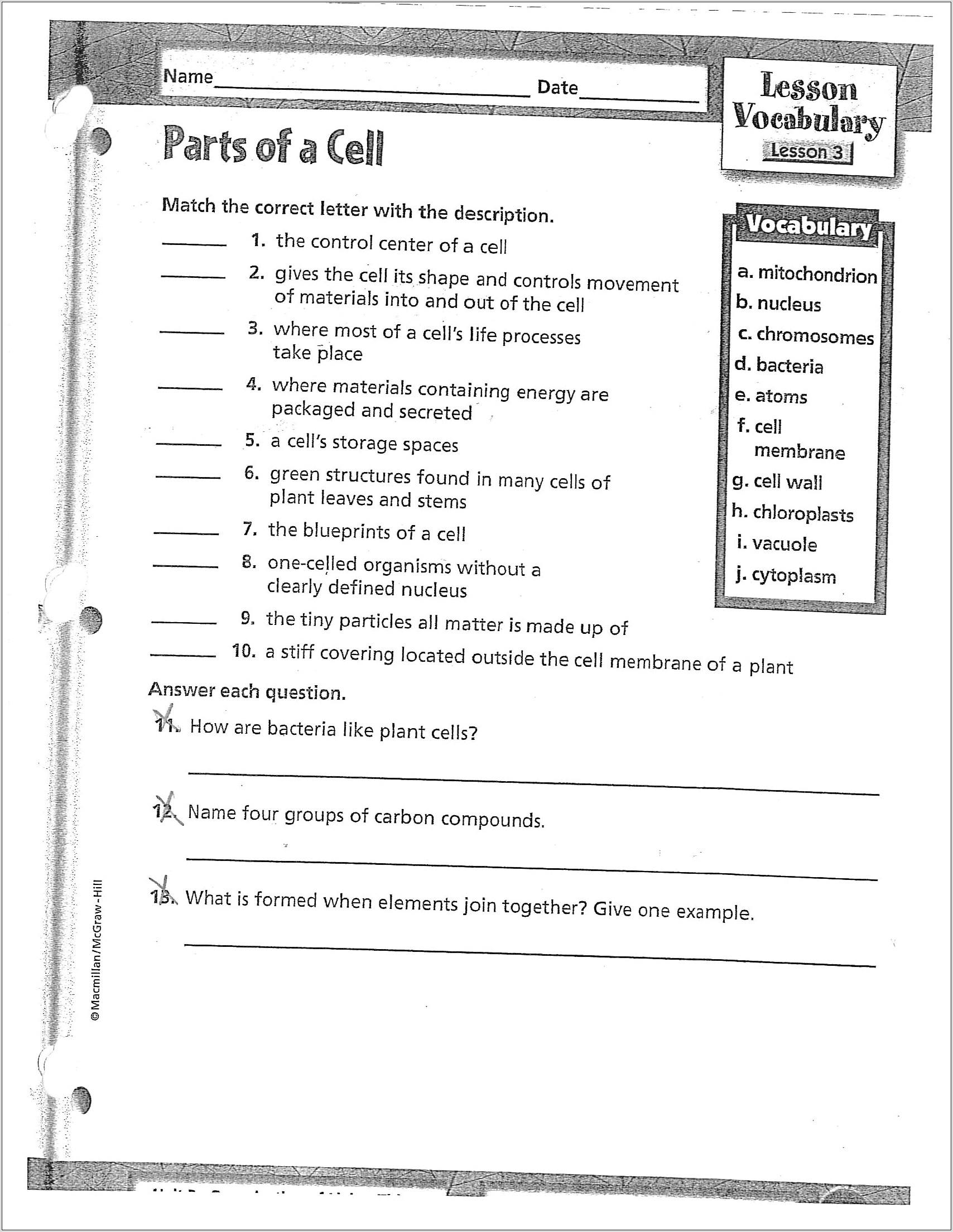 Scientific Method Matching Worksheet