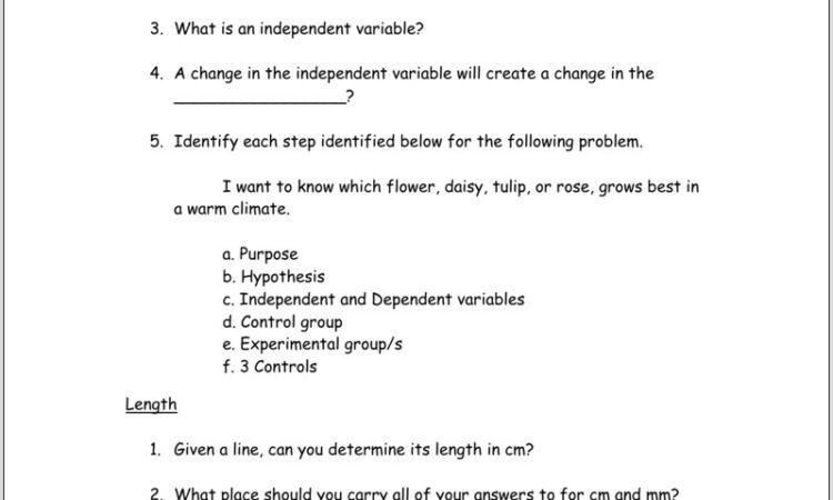 Scientific Method Mm Worksheet