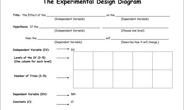 Scientific Method Outline Worksheet