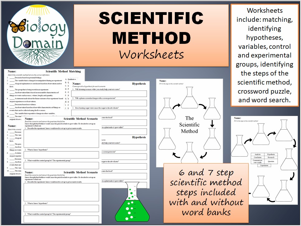 Scientific Method Today Worksheet