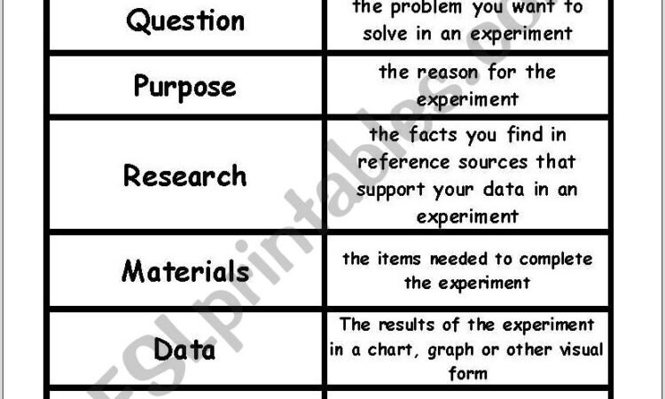 Scientific Method Vocabulary Matching Worksheet