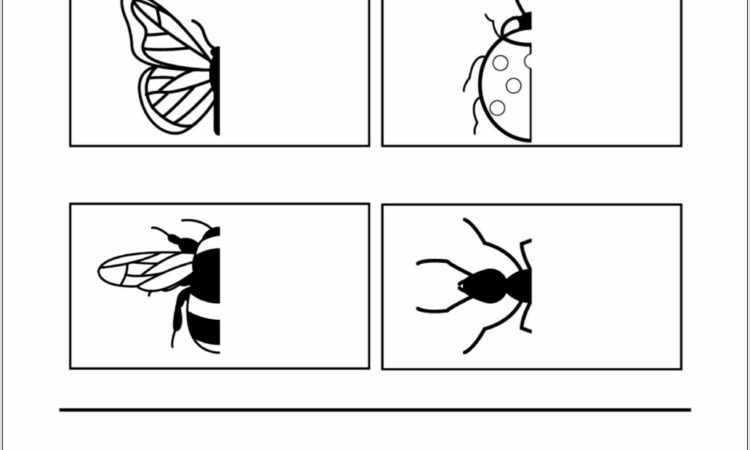 Scientific Method Worksheet Cut And Paste