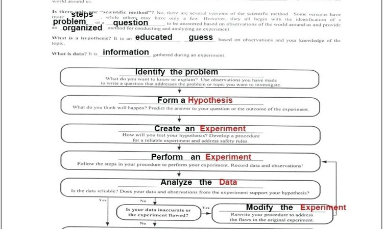 Scientific Method Worksheet Tadpoles