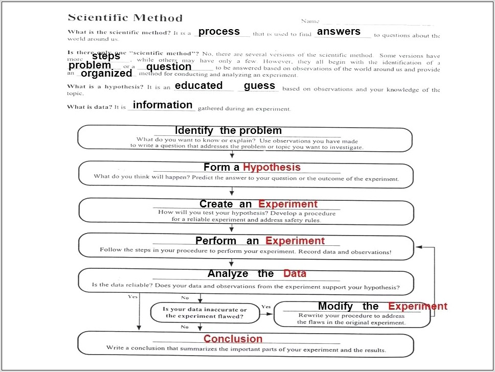 Scientific Method Worksheet Tadpoles