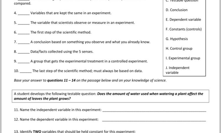 Scientific Method Worksheet Word