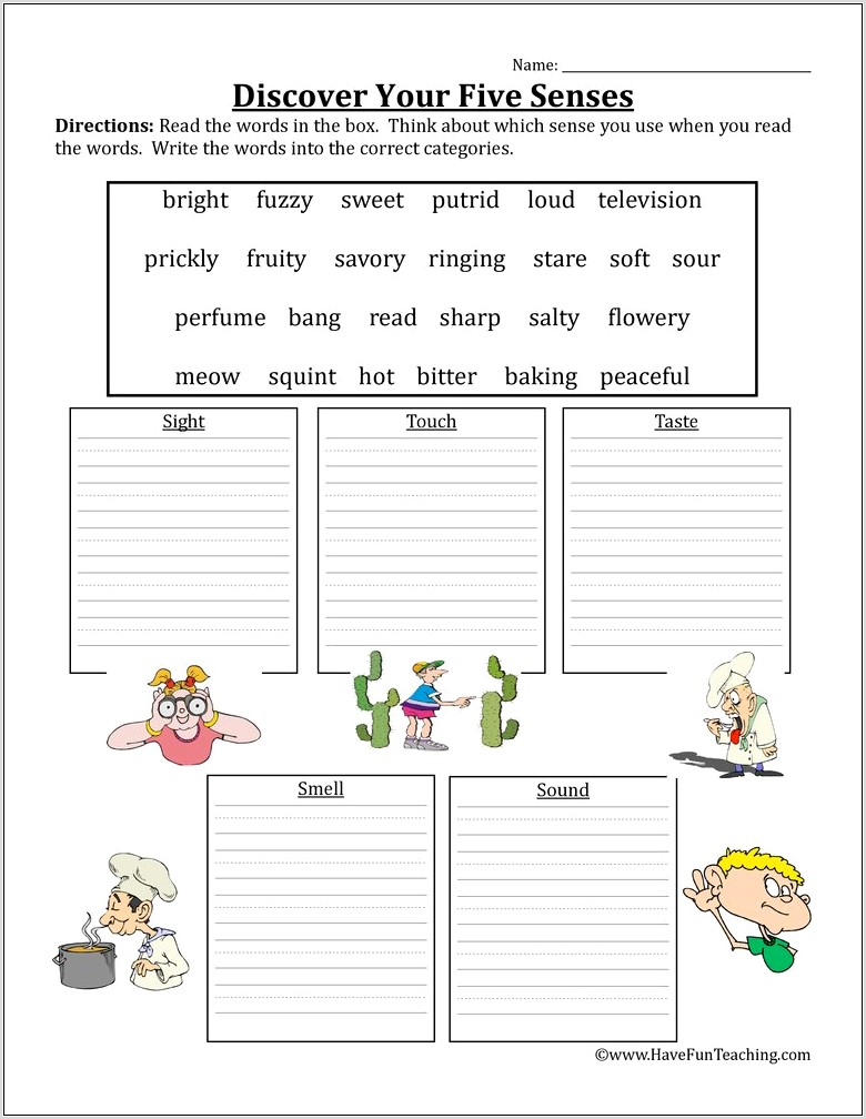 Second Grade Five Senses Worksheets