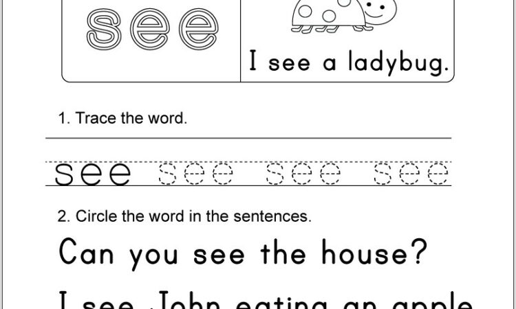 Sight Word Worksheet Can