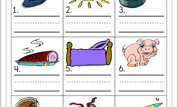 Sight Word Worksheet Have