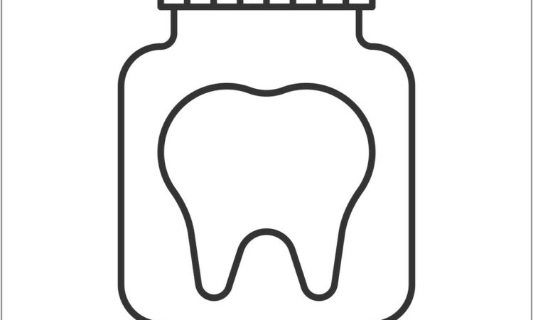 Simple Human Teeth Diagram