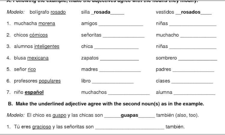 Spanish Descriptive Words Worksheet