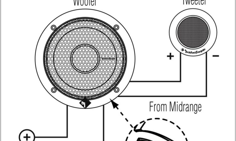 Speaker And Tweeter Wiring Diagram