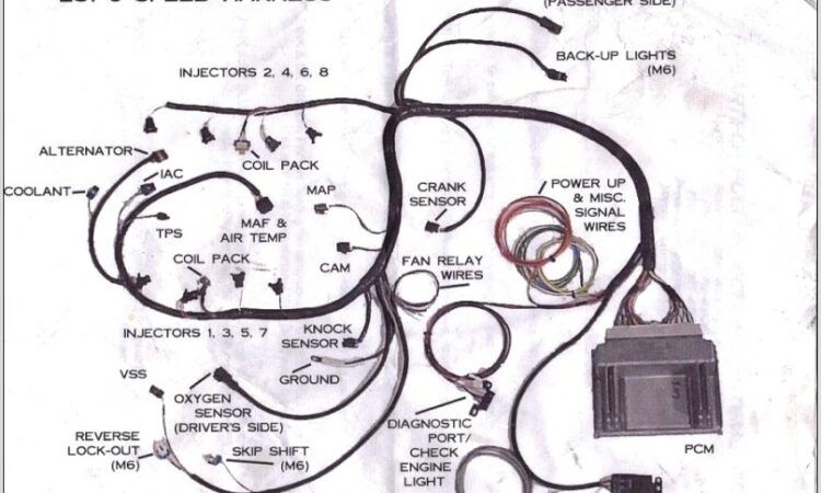 Stand Alone Ls Wiring Harness Diagram