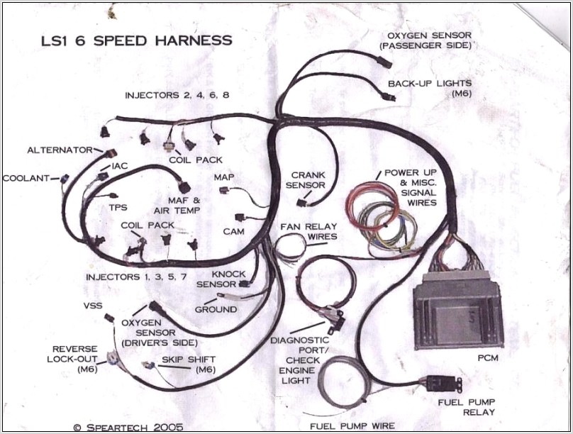 Stand Alone Ls Wiring Harness Diagram
