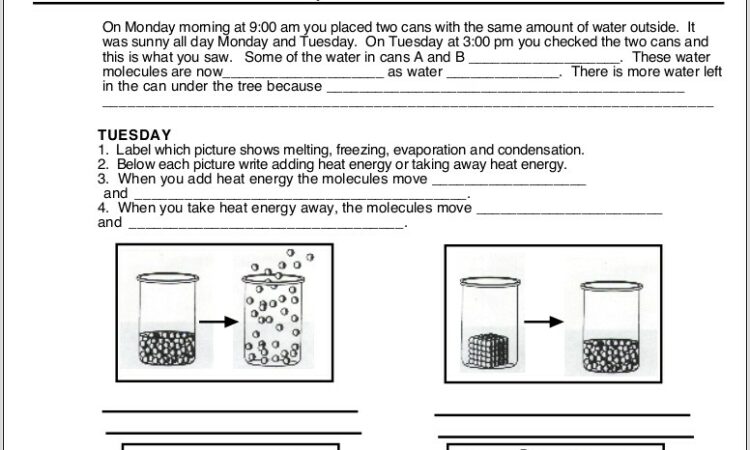 State Of Matter Worksheet For Grade 3